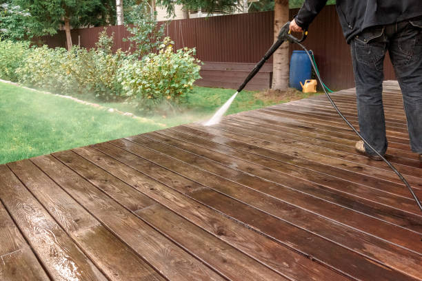 Best Roof Washing  in Moose Wilson Road, WY